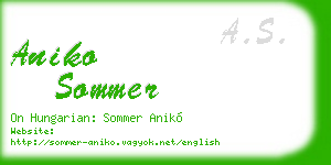 aniko sommer business card